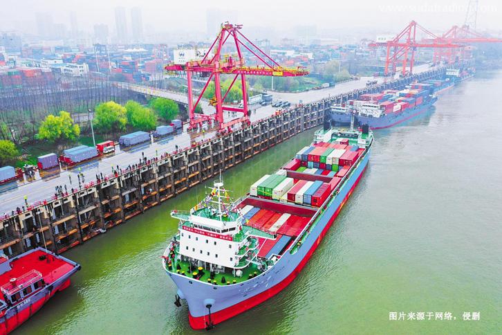 冰島進口報關公司哪家好？冰島冷凍干海參清關手續